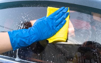 What are the Benefits of a Chamois Dry?